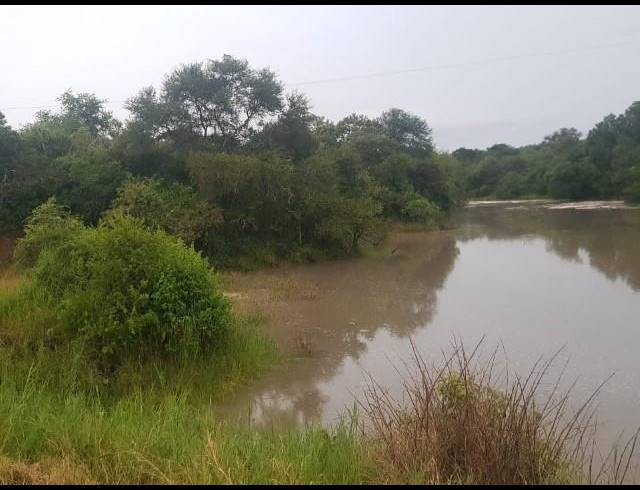 FARM FOR SALE IN LOUIS TRICHARDT RURAL